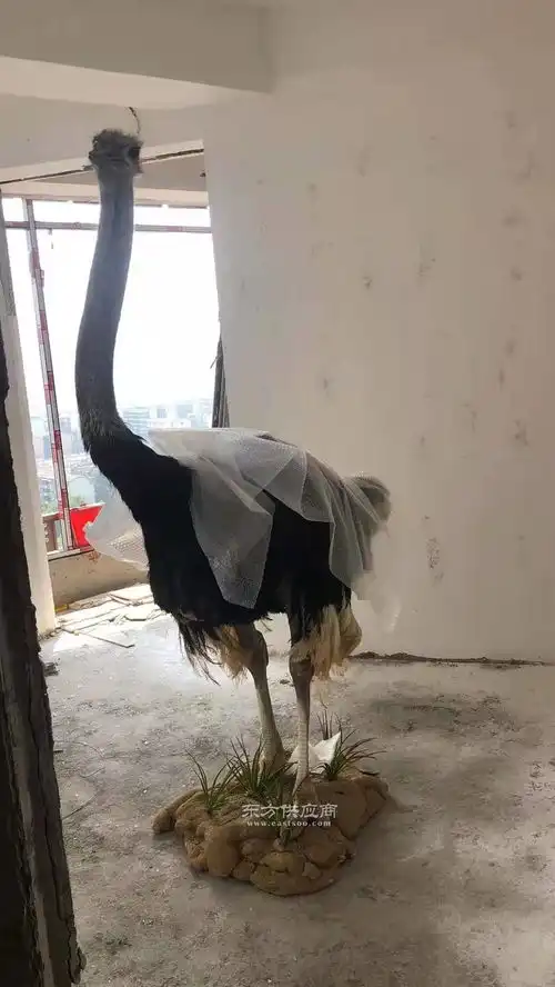 精品仿真鸵鸟模型图片