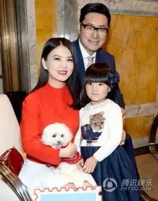 李湘承诺认真干家务戴墨镜嘟嘴被赞有气质