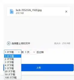 既是你的临时网盘,又是你的文件传输利器,让你告别百度网盘和qq