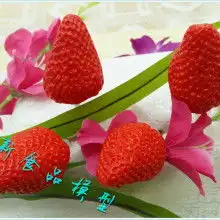 首页河北代购代销水果蔬菜公司主营各种水果蔬菜红富士