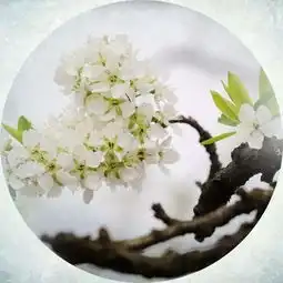 生命岁月里,唯健康最重要