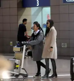 angelababy深夜戴墨镜现身机场变女汉子自提行李心情靓