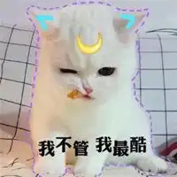 逗趣可爱萌宠头像萌宠动漫头像大全可爱