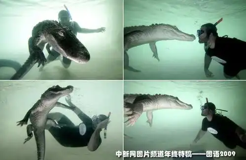 盘点2009年度精彩动物趣图