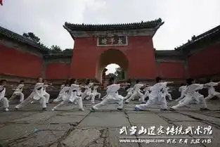 暑期武术夏令营少年者说