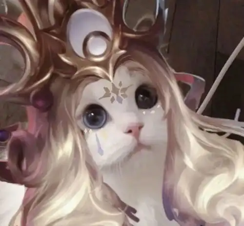 王者小猫头像,你要抱哪个回家