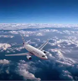 资料波音737客机在红海坠毁机上人员全遇难