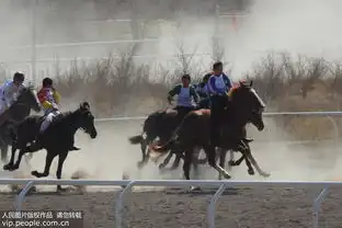 新疆博乐春季那达慕赛马会开赛