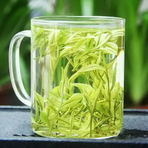 你好中国绿茶中的白富美安吉白茶