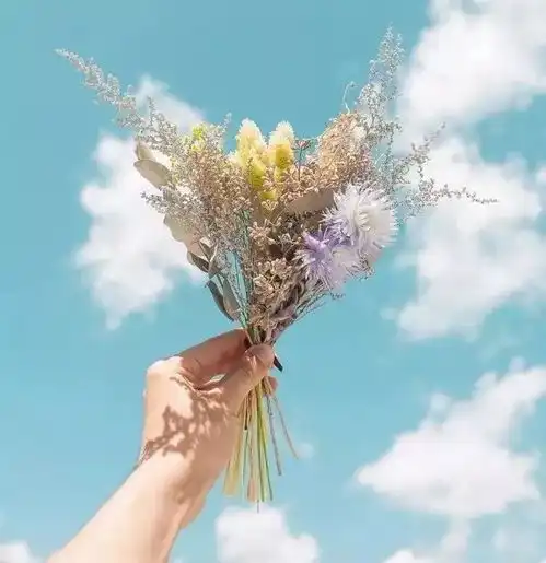 你若为我付出,我绝对不会辜负