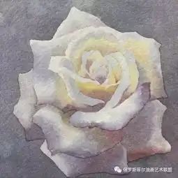 画玫瑰,他一画就是二十年,太美了