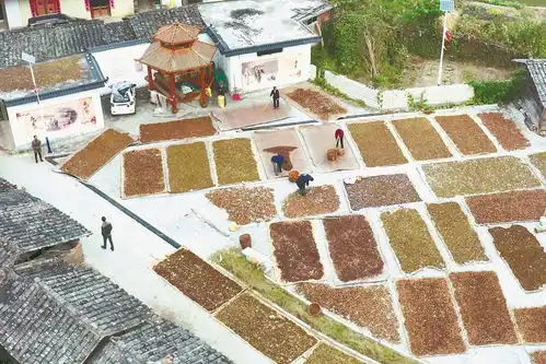 背靠大树好乘凉
