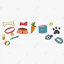 卡通宠物狗用品矢量图素材图片免费下载高清psd千库网图片编号9963938