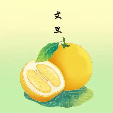 柚子卡通形象