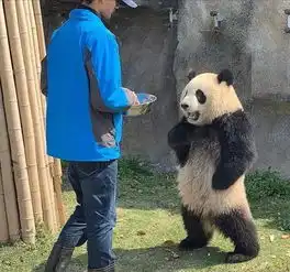 搞笑图片确认过眼神,是有车的人