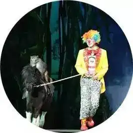在剧院看马戏是一种怎样的体验