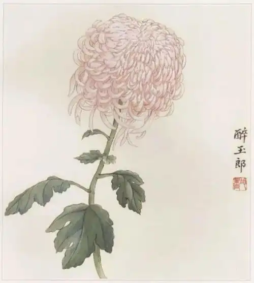 她是老舍的夫人,菊花是她独领风骚的领域