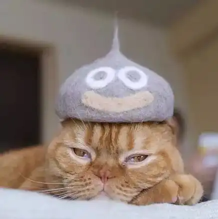用猫掉的毛做帽子的这位网友,最近做的帽子是越来越6了