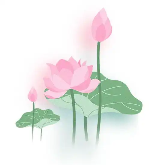 古桥静卧荷花盛开竹林摇曳,共赏香花桥夏日美景