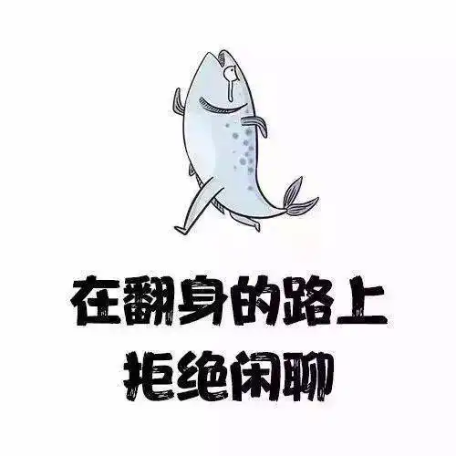 上岸同学都喜欢用的头像和壁纸最后一张就针对你