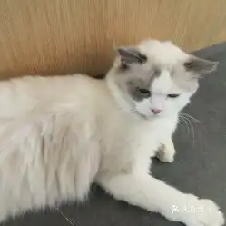 电话,地址,价格,营业时间