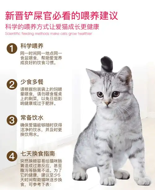 汤河店皇家猫粮幼猫2kg营养幼猫粮猫小猫怀孕哺乳期母猫粮c