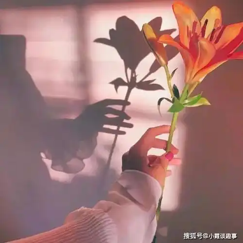 唯美阳光的励志心语,句句精湛,朋友们纷纷摘抄
