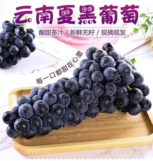 云南夏黑葡萄2斤4斤新鲜水果当季水果现摘先发包邮无籽葡萄孕妇水果48小时发货