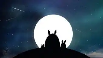 龙猫的星空