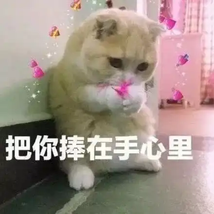 获奖名单公布,还有更多参赛选手的精彩混剪