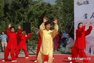 是谁在练太极搞得风生水起为争武林盟主数百名高手云集亦庄