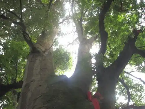 周末游丨骑行or徒步游玩在雨城,有这份攻略足够了下