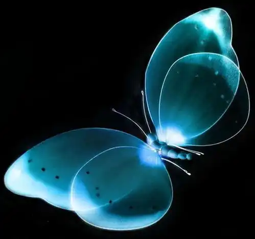 测试一个超长简介的文章
