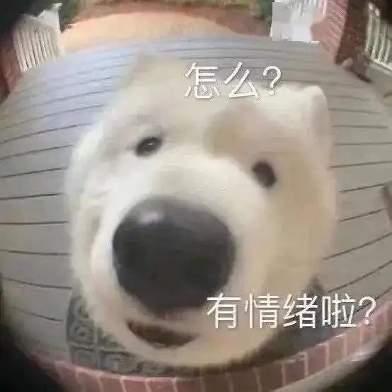 男友定了10w一晚的主题酒店,浴室中竟然哈哈哈哈还有这种服务
