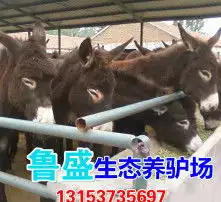 黄页88高清图片