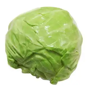 可以发一张园白菜图片吗