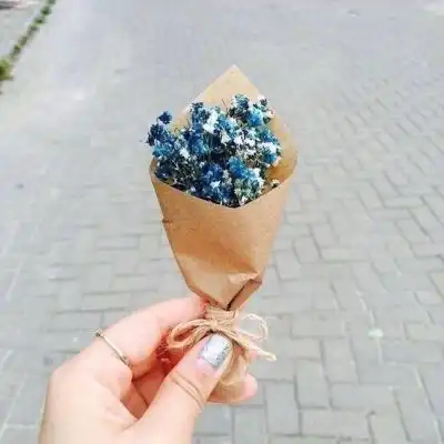 测试一个超长简介的文章