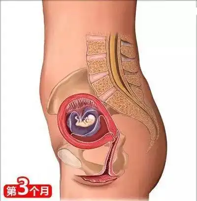 备孕怀孕生娃,你一定要懂的母婴基础常识大全