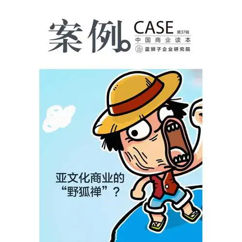 案例亚文化商业的野狐禅第37辑书籍