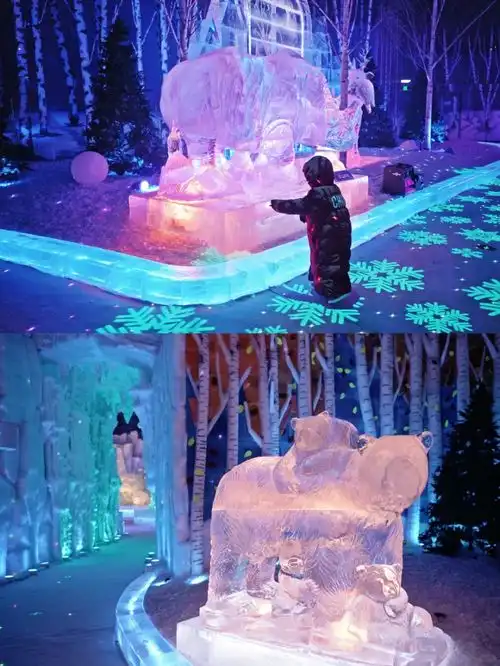 全网最全的哈尔滨冰雪大世界梦幻冰雪馆攻略来啦