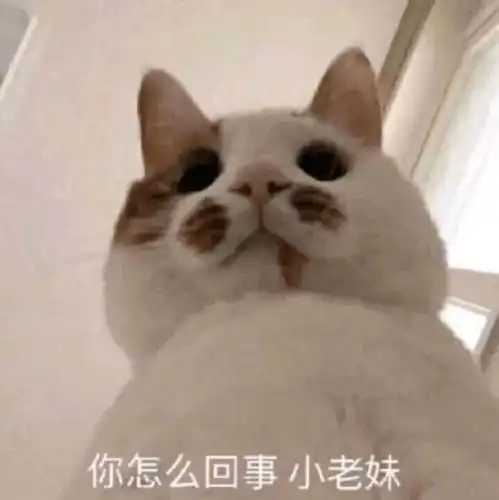 我要吃奶奶