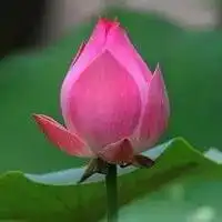 确定这是养老院的餐食