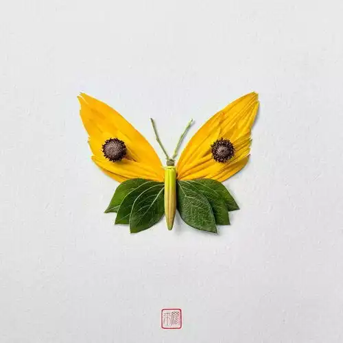 真正的花蝴蝶,由花叶拼成的昆虫画