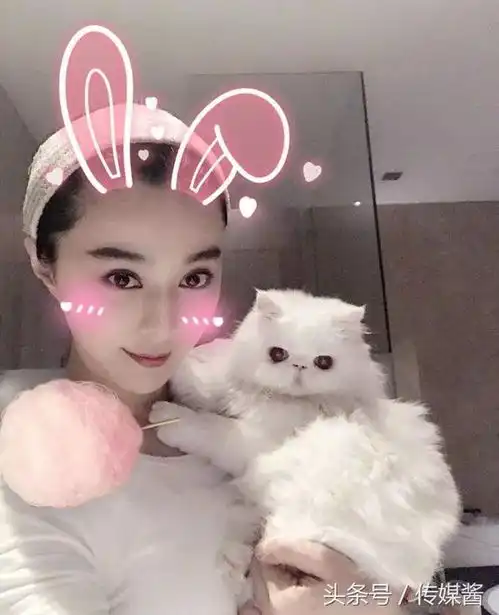 李晨晒萌宠4小只求选个冠军,网友心中的女王只有范冰冰