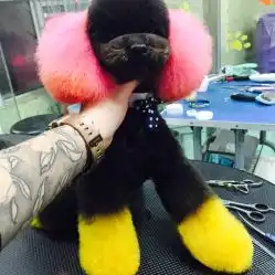 爱宠一族格林宠物医院