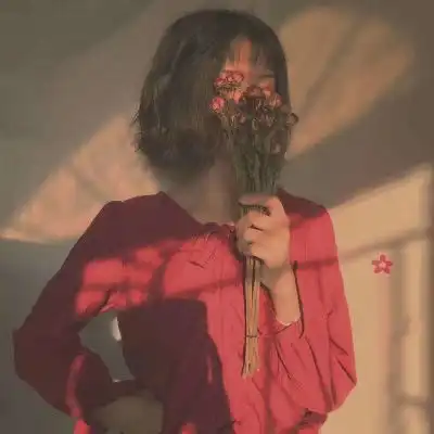 测试一个超长简介的文章