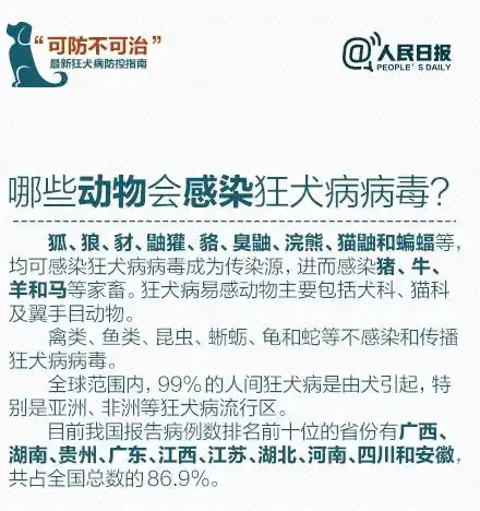 被狗咬儿童80的伤在头颈部预防的关键请收好