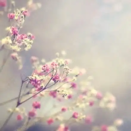 等待花开