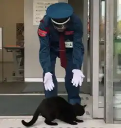 日美术馆展示猫咪雕像,喵皇隔玻璃痴望好想加入...