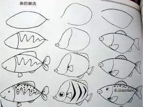 鱼怎么画